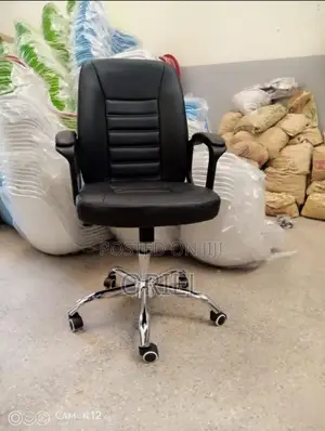 Modern Office Leather Chair : Executive Mid-back Office Chair