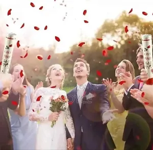 Rose Petals Party Popper