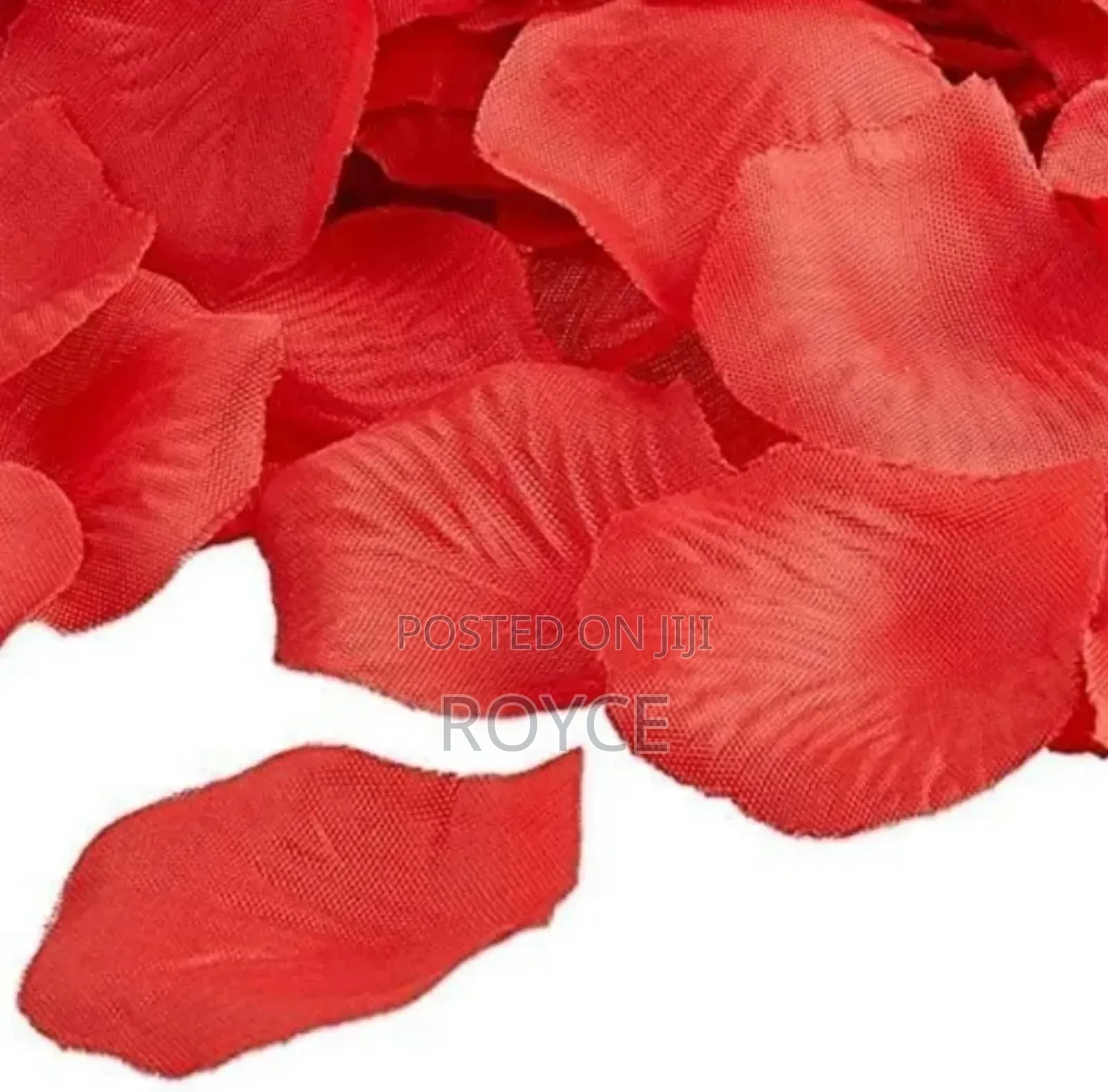 Rose Petals Party Popper