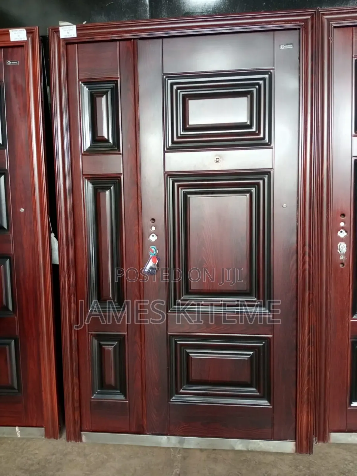 Sleek Steel Doors Design