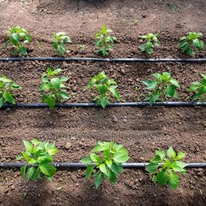 Irrigation Drip Tubes 20cm Spacing - thumbnail 2