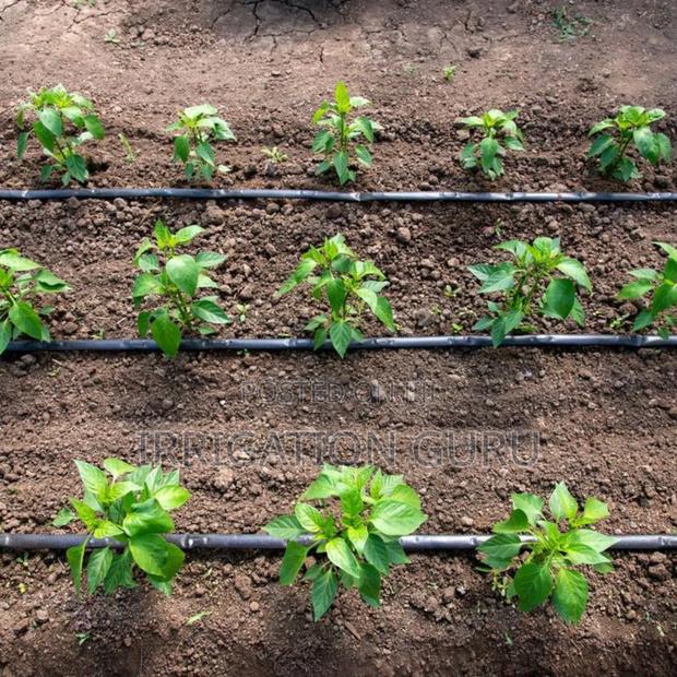 Irrigation Drip Tubes 20cm Spacing - main view