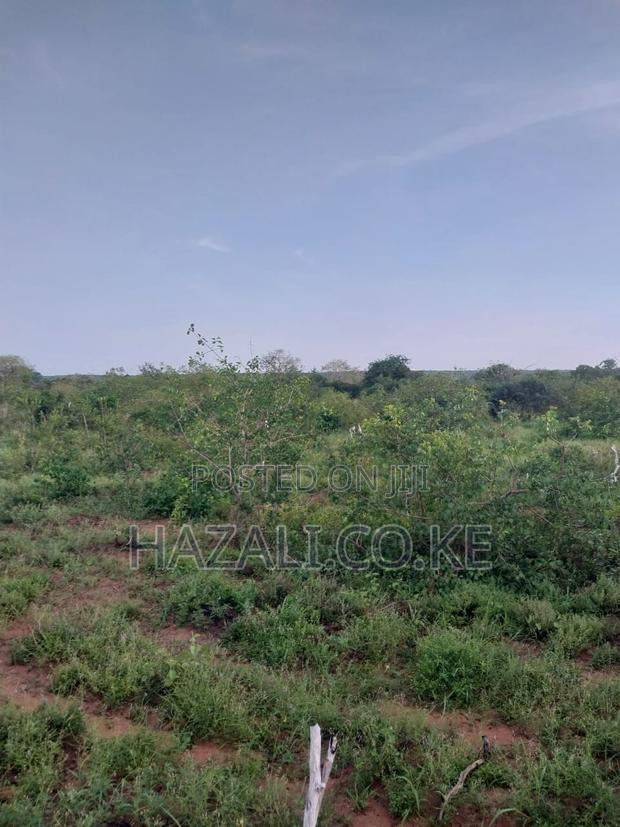 100 Acres Farm Land in Changoto Kilifi County - thumbnail 6