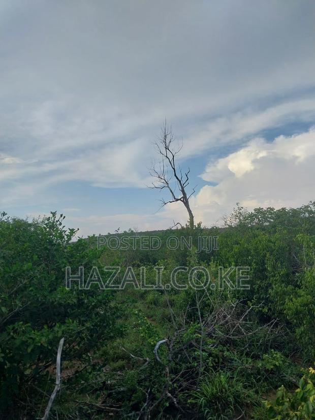 100 Acres Farm Land in Changoto Kilifi County - thumbnail 7