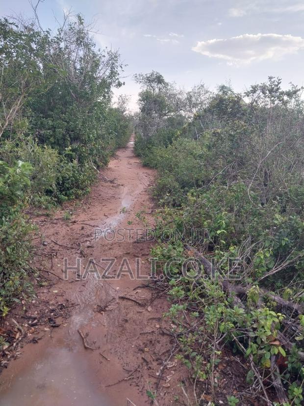100 Acres Farm Land in Changoto Kilifi County - thumbnail 8