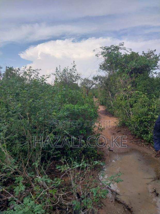 100 Acres Farm Land in Changoto Kilifi County - thumbnail 9