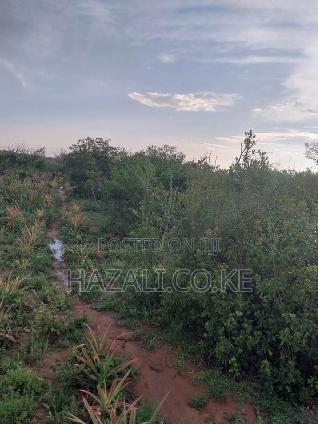 100 Acres Farm Land in Changoto Kilifi County - thumbnail 10