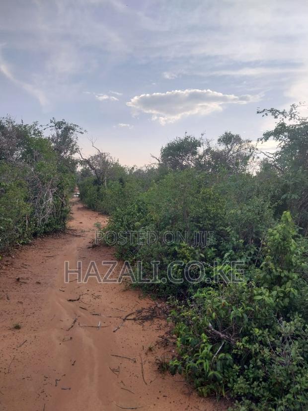 100 Acres Farm Land in Changoto Kilifi County - thumbnail 12
