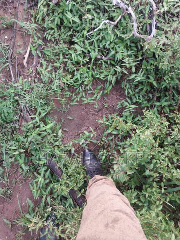 100 Acres Farm Land in Changoto Kilifi County - thumbnail 14