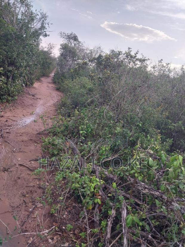 100 Acres Farm Land in Changoto Kilifi County - thumbnail 15