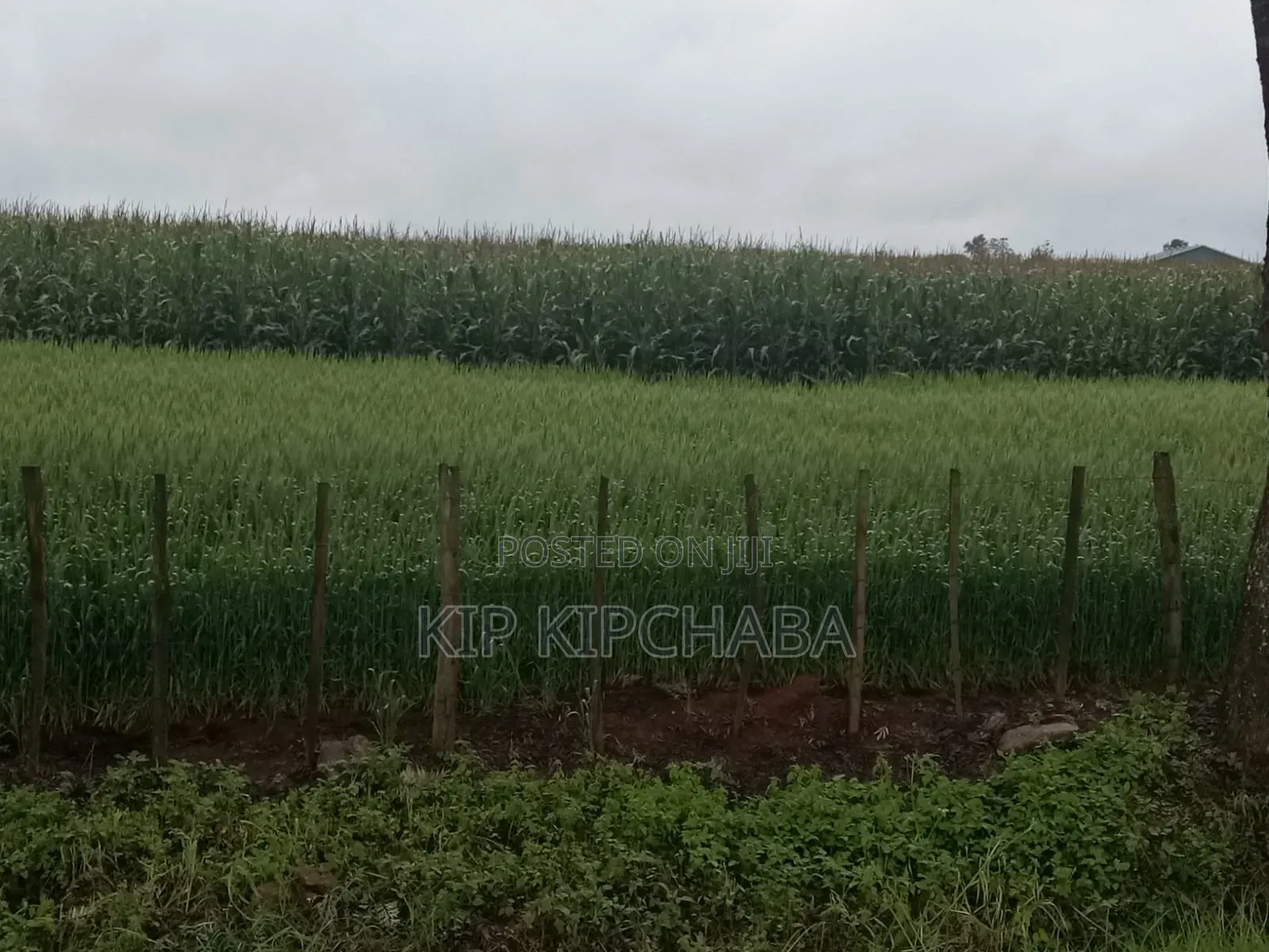 4bdrm Farm House in Soy for sale