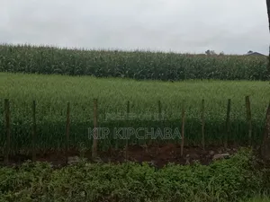 4bdrm Farm House in Soy for sale