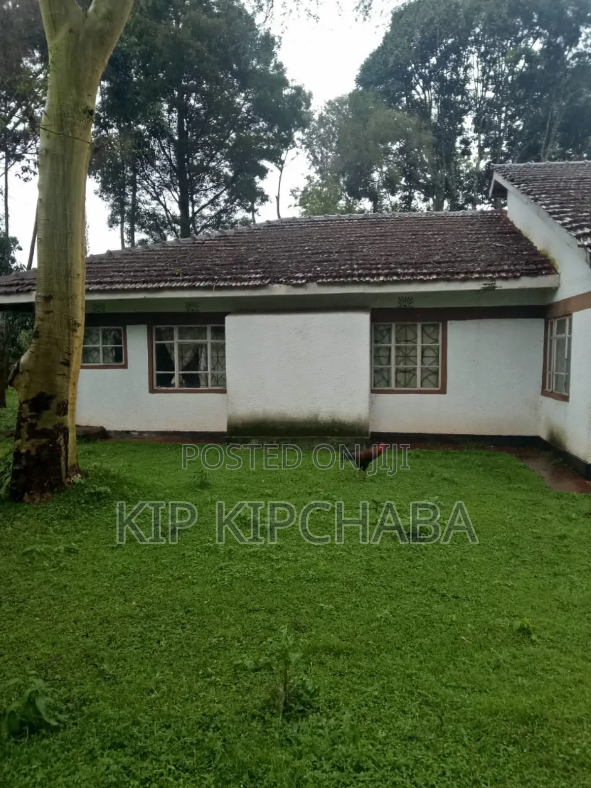 4bdrm Farm House in Soy for sale