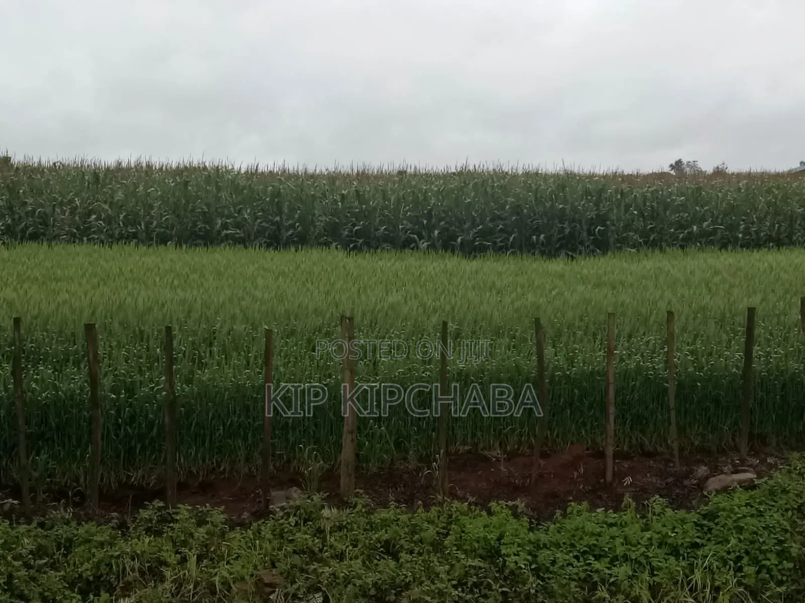 4bdrm Farm House in Soy for sale