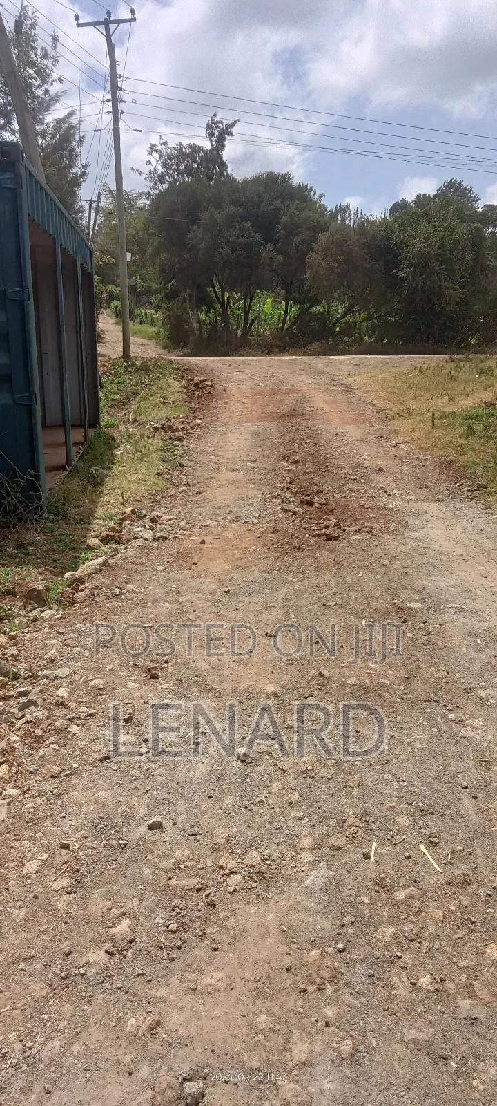 100ft * 100ft Plot