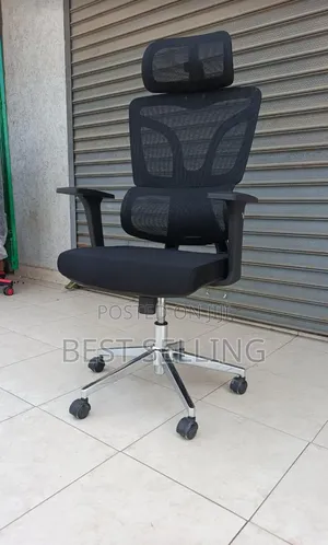 Strong and High Back Ergonomic Office Chair