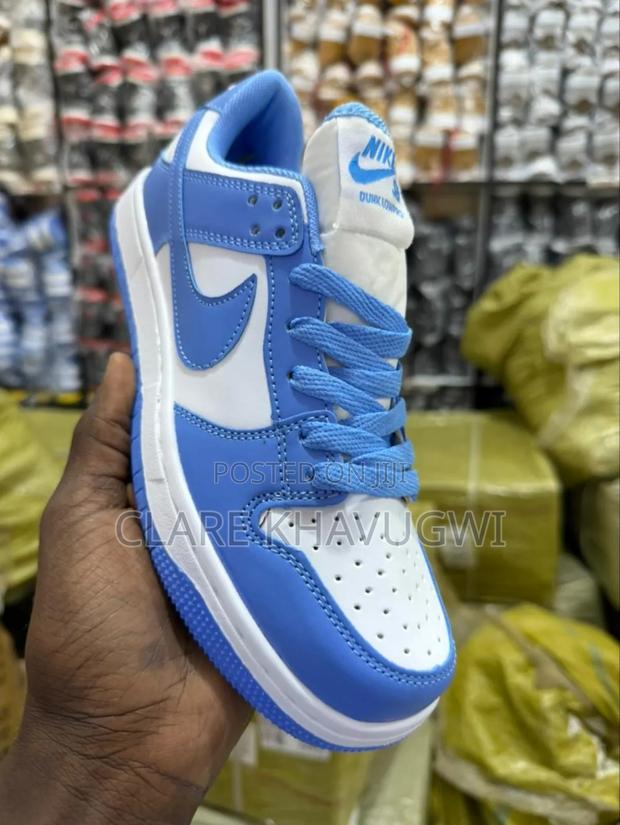 Sb Nike Shoe - main view