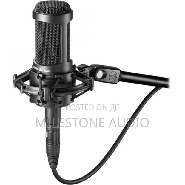Audio-Technica At2035 Large-Diaphragm Condenser - main view