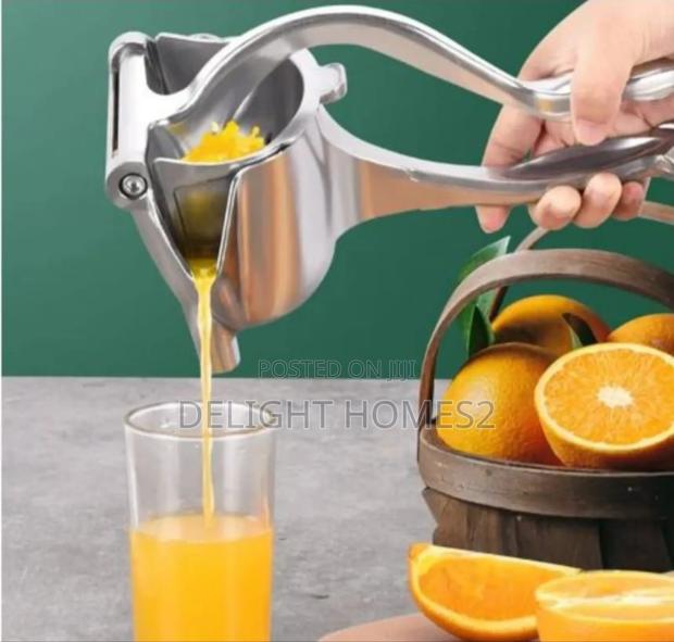 Mettalic Manual Fruit Press_dav - main view