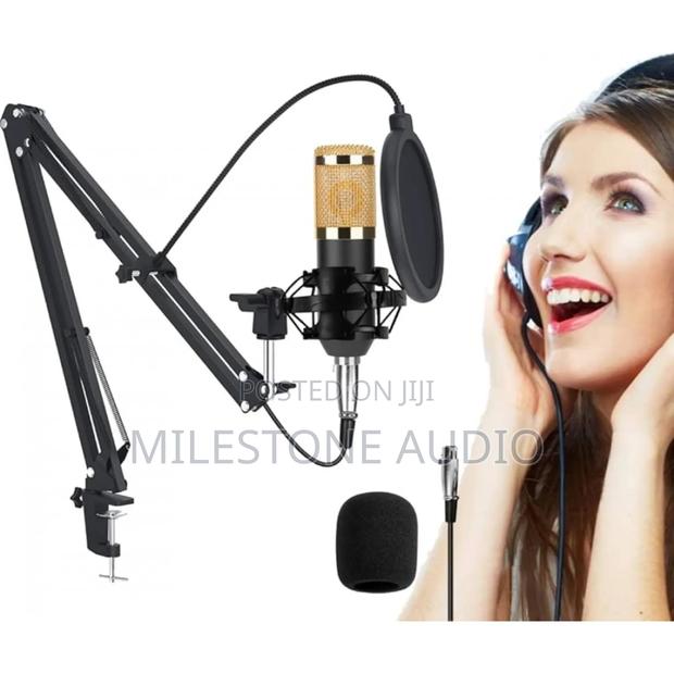 Bm800 Professional Condenser Microphone With V8 Sound Card (Black)