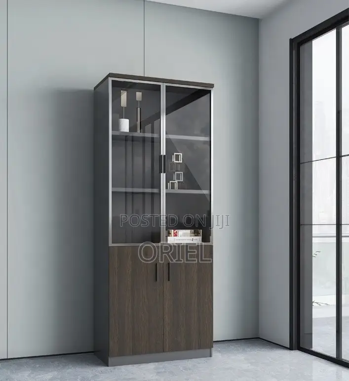 Modern Office Cabinet : 2-Door Wooden Office Cabinet