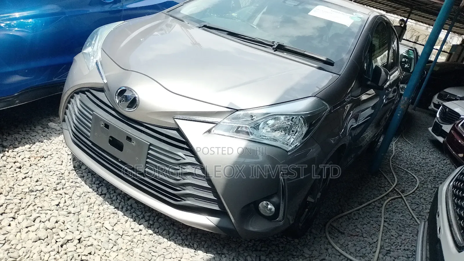 Toyota Vitz 2019 Gold