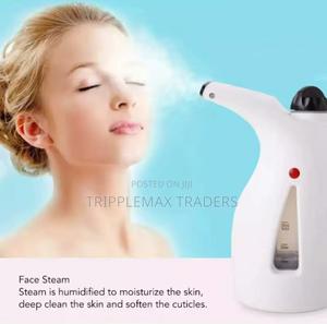 Akira Gs-558 Portable 800w Handheld Garment Facial Steamer - main view