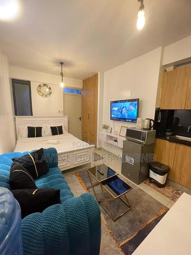 Fully Furnished Studio Airbnb Apartment ,Roysambu - main view