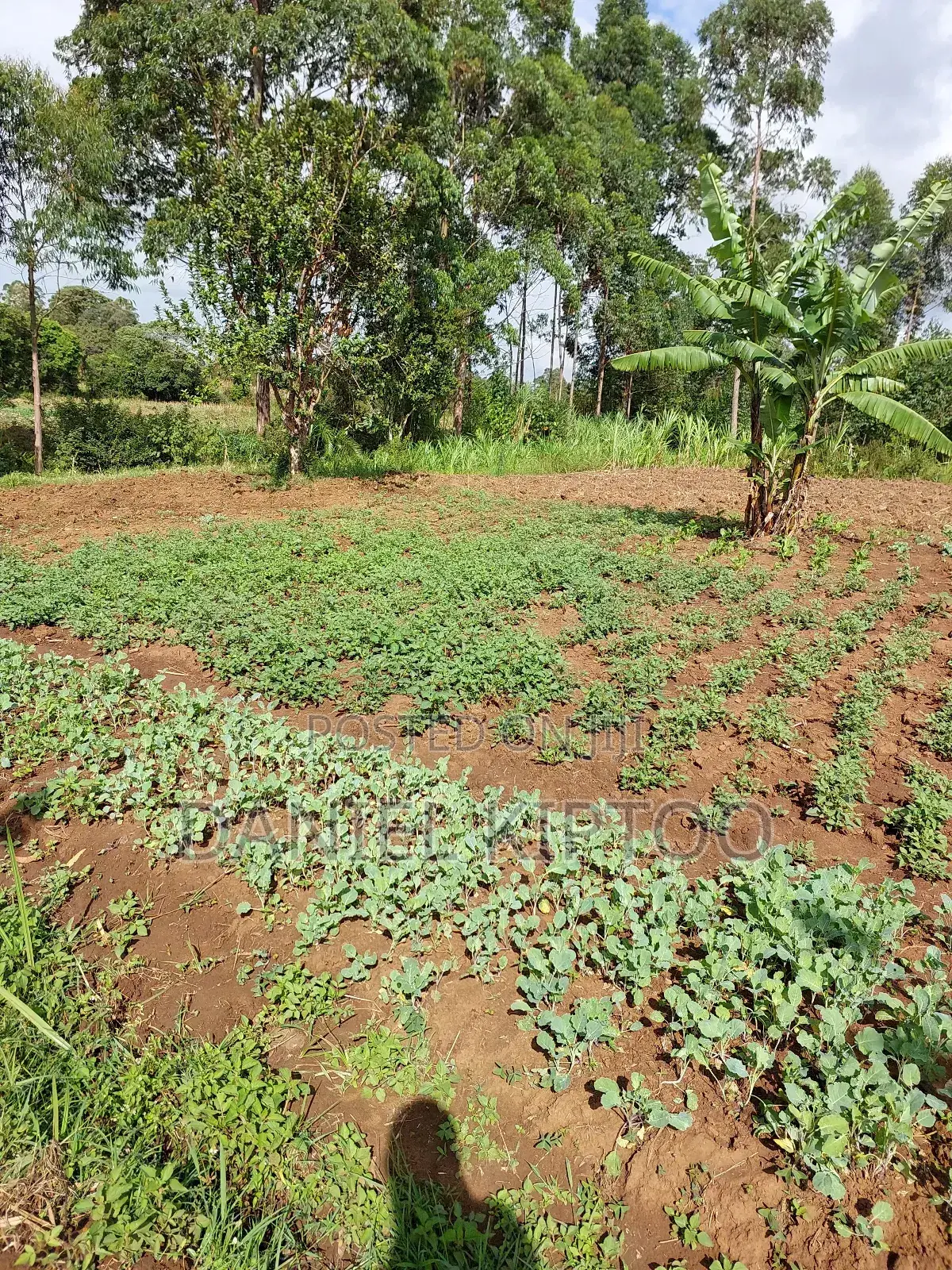 3.5 Acre Residential Land for Sale in Soy