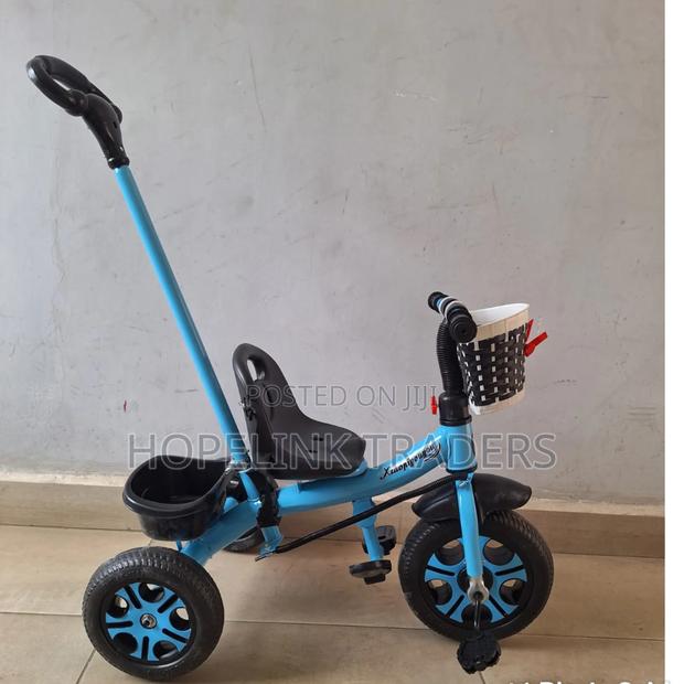 Tricycle With Push Handle 2_3y - main view