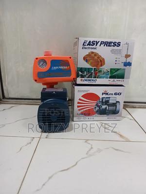 Combined Water Pump and Controller - thumbnail 2