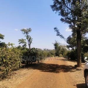17 Acres Coffee Farm on Sale Sale at Ruiru Town at 35m Per Acre