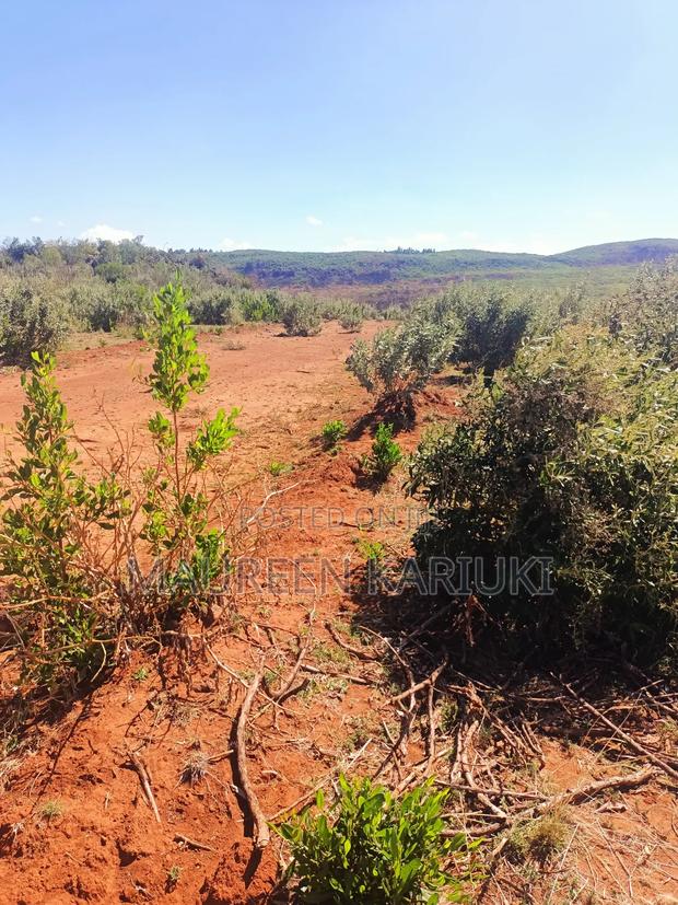 Real Estate - thumbnail 3