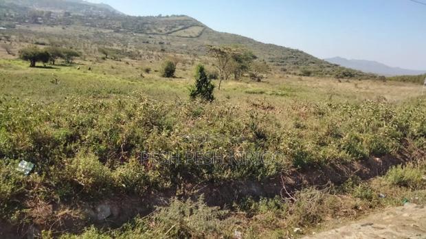 Ngong Kimbichu - thumbnail 3