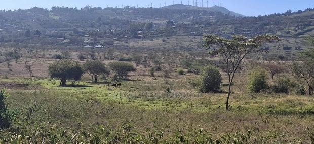 Ngong Kimbichu - thumbnail 4