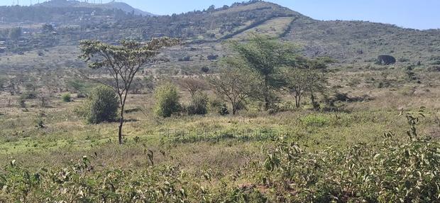 Ngong Kimbichu - thumbnail 5