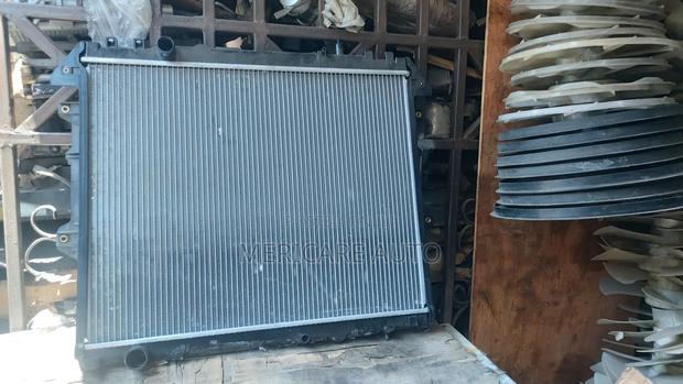 New Vigo Radiator