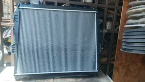 New Vigo Radiator
