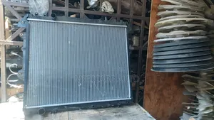 New Vigo Radiator