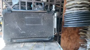 Ex Japan New Model Outlander Complete Radiator