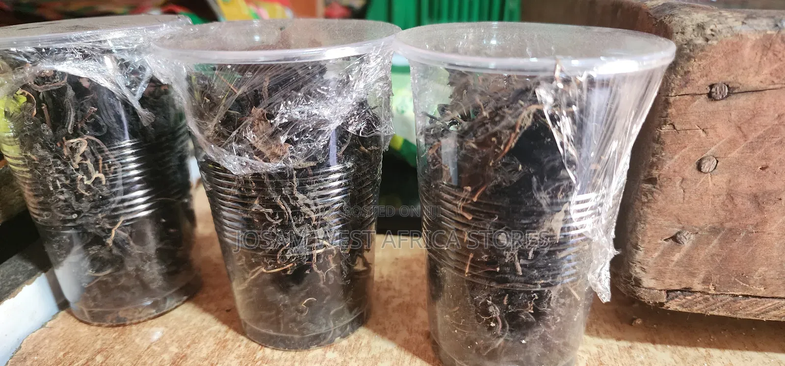 Dried Bitter Leaf Pack
