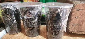 Dried Bitter Leaf Pack