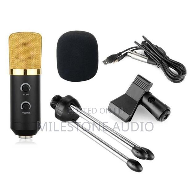 Bm -100 Fx Usb Powered Condenser Mic - main view