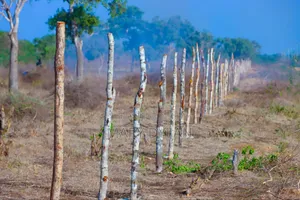 Prime 1/2 Acres In Marereni (Malindi)