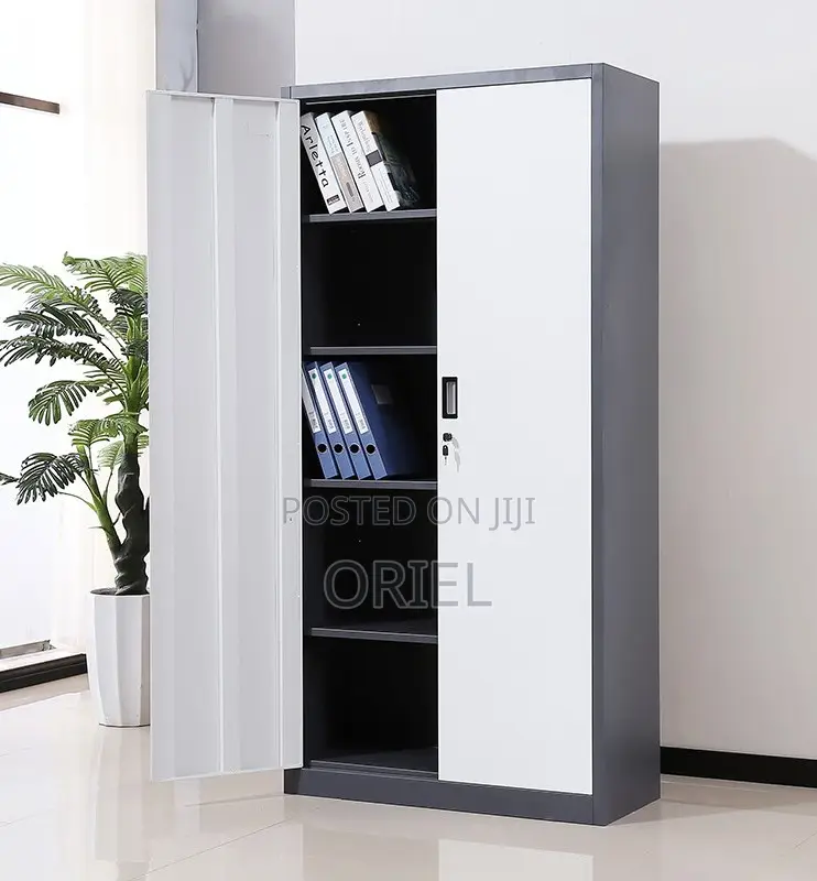 Modern Office Cabinet : 2-Door Office Cabinet