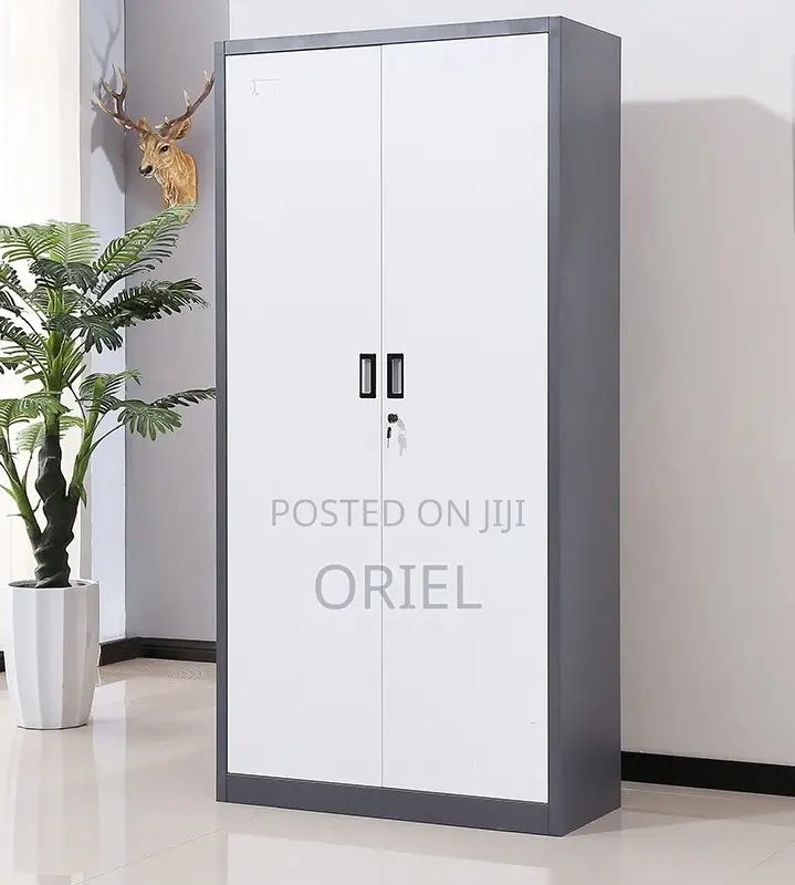 Modern Office Cabinet : 2-Door Office Cabinet
