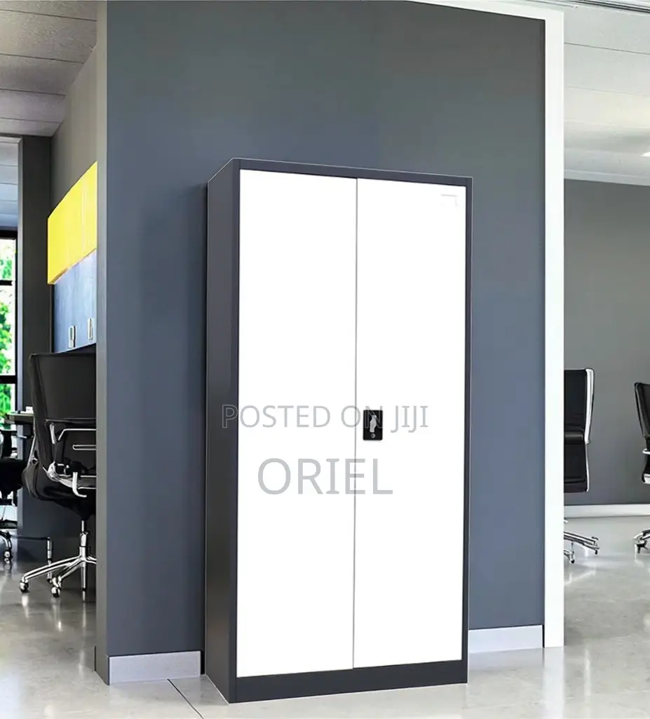 Modern Office Cabinet : 2-Door Office Cabinet
