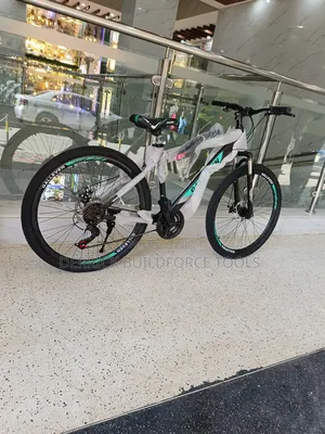 Galleven Size 26 Bicycle