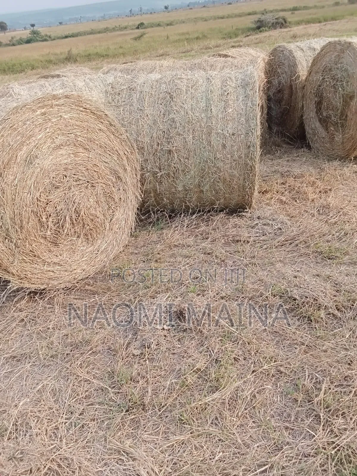 Hay Wrapper Machine