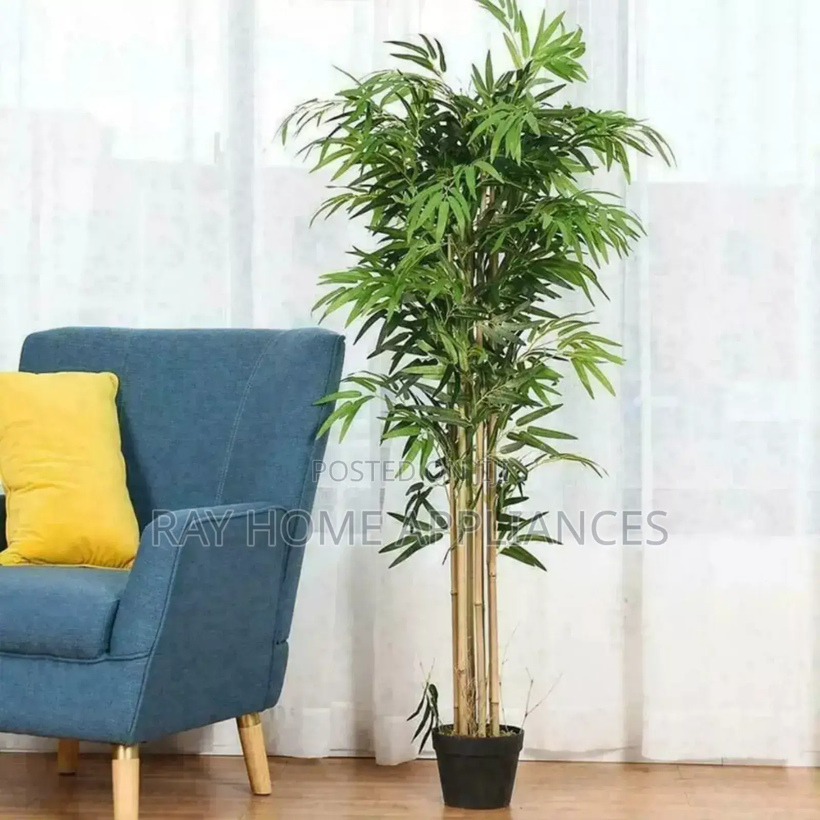High Quality Potted House Tree Size 120cms Equivalent to 4ft